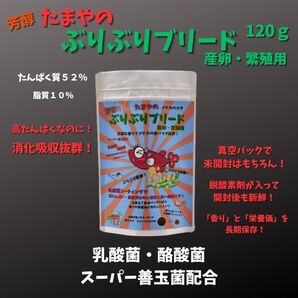 【GMめだか】たまやのぶりぶりブリード 産卵繁殖用 120g 1個 → メダカ 餌 エサ えさ 高タンパク