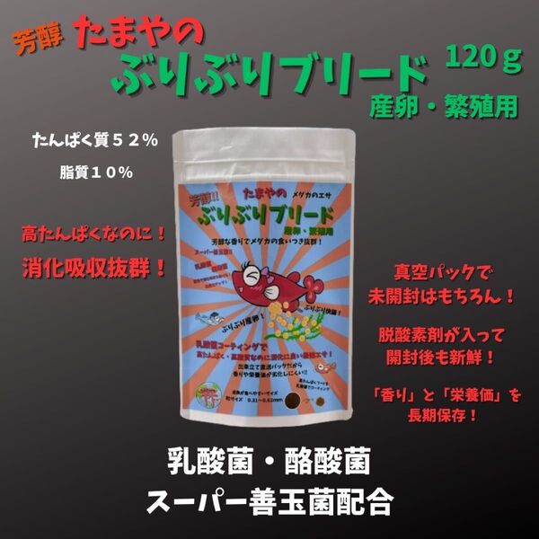 【GMめだか】たまやのぶりぶりブリード 産卵繁殖用 120g 2個 → メダカ 餌 エサ えさ 高タンパク