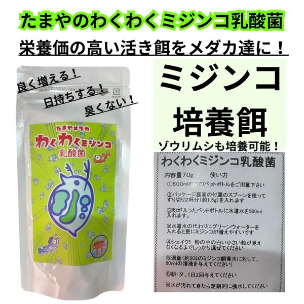 【GMめだか】たまやのわくわくミジンコ乳酸菌 ミジンコ培養餌 ゾウリムシ培養餌 良く増える 臭くない 長持ち メダカ インフゾリア