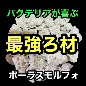【GMめだか】最強ろ材 ポーラスモルフォ 1kg →バクテリア 水質浄化 安定 濾過 濾材メダカ らんちゅう 金魚 錦鯉