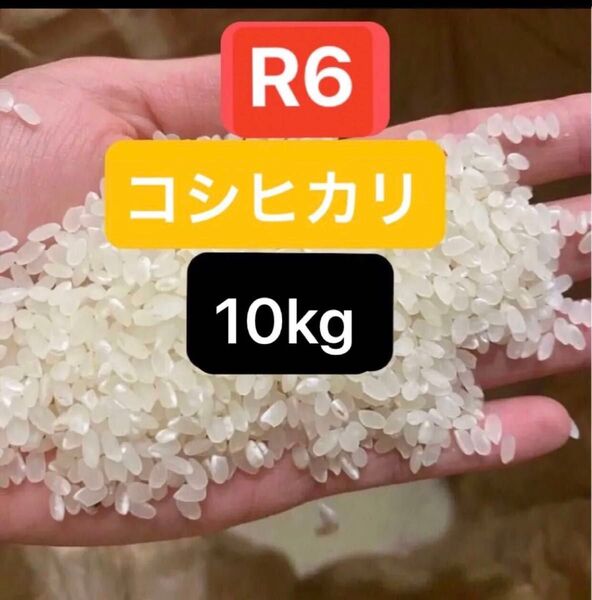 R6 お米 広島産 コシヒカリ 精米 白米 10kg