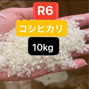 お米 白米 精米 広島 コシヒカリ 10kg
