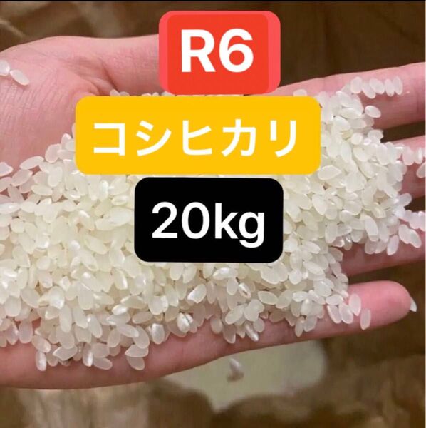 広島産 コシヒカリ お米 玄米 20kg