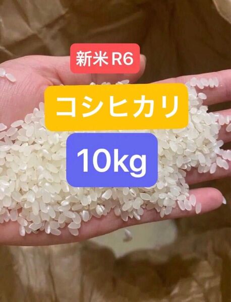 広島 コシヒカリ 玄米 10kg お米