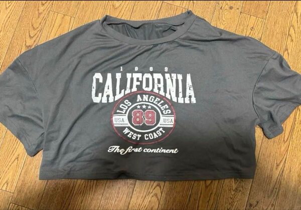 ロゴ入り 半袖Tシャツ グレー チビT ショート丈