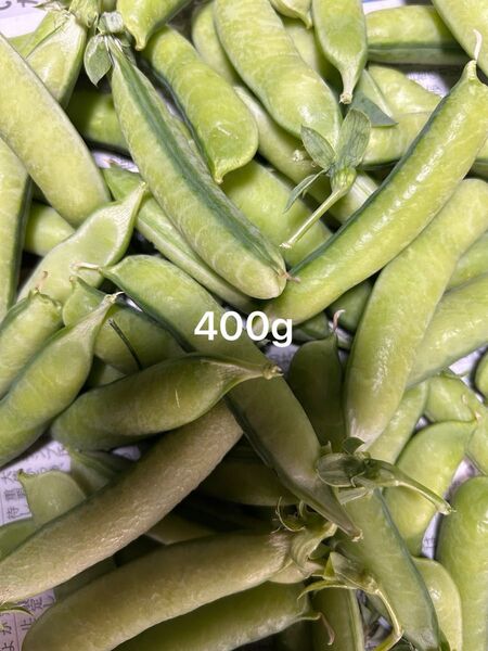無農薬 うすいエンドウ豆 鞘付き 400g