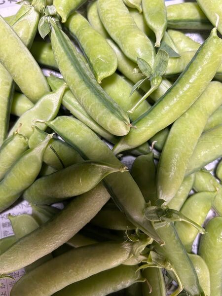 無農薬 うすいエンドウ豆 400g