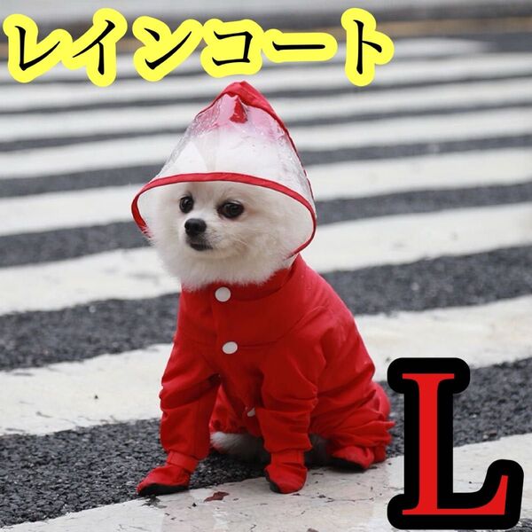 レインコート 犬 ペット お散歩 お出かけ Lサイズ L ペット服 犬服 ドッグウェア 犬用レインコート 赤