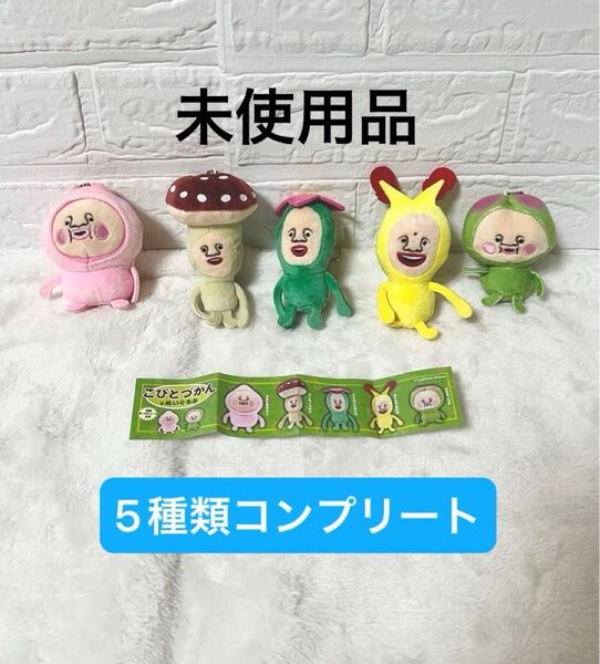 【未使用】こびとづかんのぬいぐるみ ガチャ 5種類 コンプリート