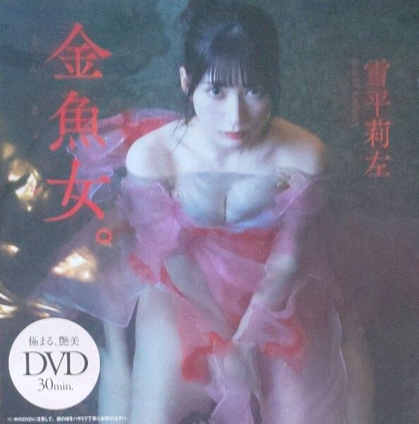 DVD 雪平莉左 未開封 週刊プレイボーイ付録