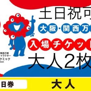 大阪 EXPO2025 関西万博 入場 チケット 一日券 大人 ペア2枚セット② 万博チケット