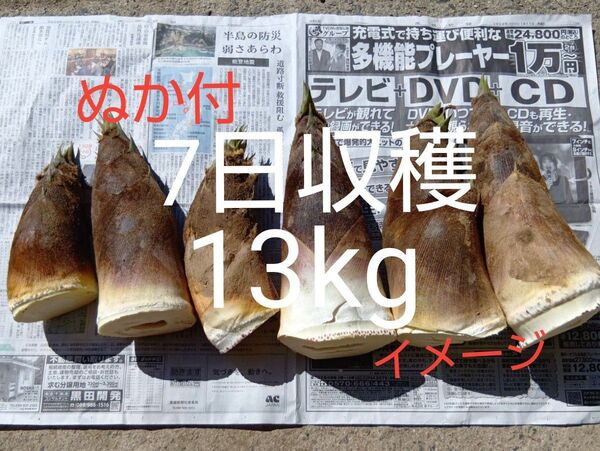たけのこ 7日収穫 13kg 当日発送 タケノコ 筍 新鮮 掘りたて発送 大ぶり入り