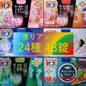 花王 バブ 入浴剤 13【花王 バブ 24種48錠 C】 香りアソート