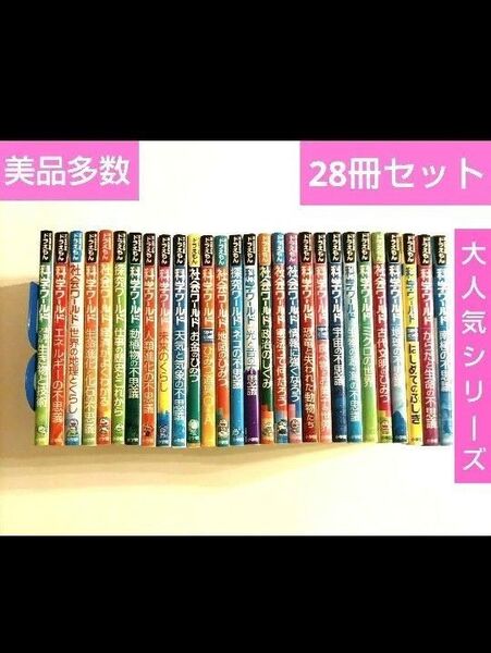 【28冊セット】 ドラえもん科学ワールド 学びワールド 社会ワールド 美品多数