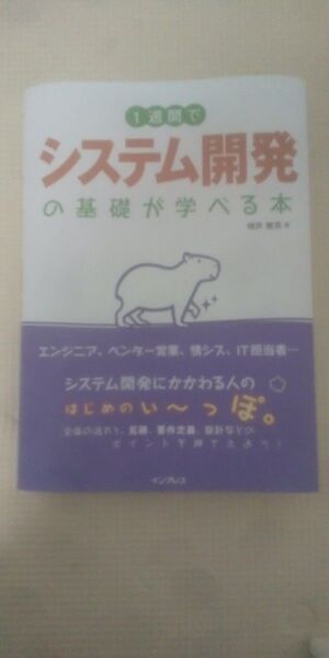 1週間でシステム開発の基礎が学べる本 増井敏克/著