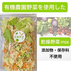 【特価!】有機野菜使用 乾燥野菜 お味噌汁の具 60杯分 時短料理 家事楽 50g×2袋