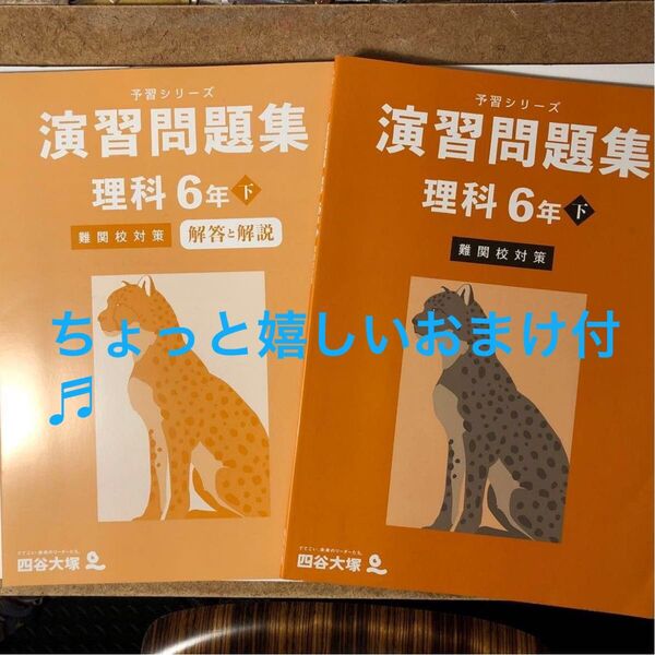 (書込みなし)(複数購入お値引き致します)四谷大塚 演習問題集 予習シリーズ 理科6年 下 難関校対策 状態良