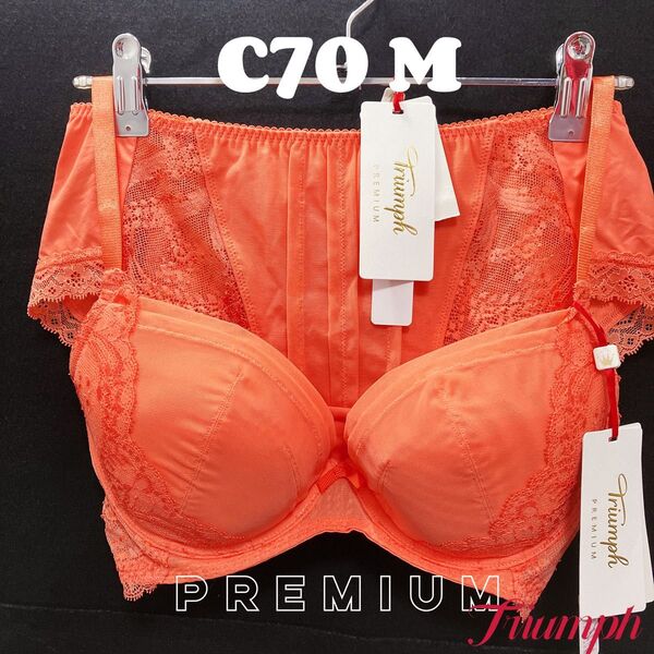 トリンプ プレミアム ゴールドレーベルブラジャー&ショーツ C70