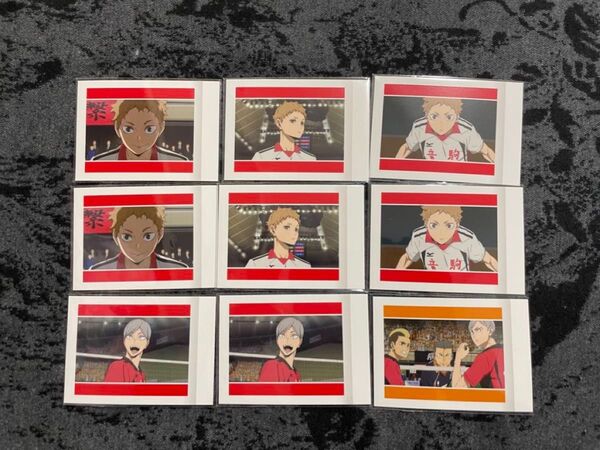 ぱしゃこれ劇場版ハイキューゴミ捨て場の決戦vol.2夜久衛輔灰羽リエーフ音駒高校 アニメ