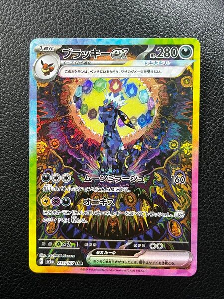 ブラッキーex SAR テラスタルフェス