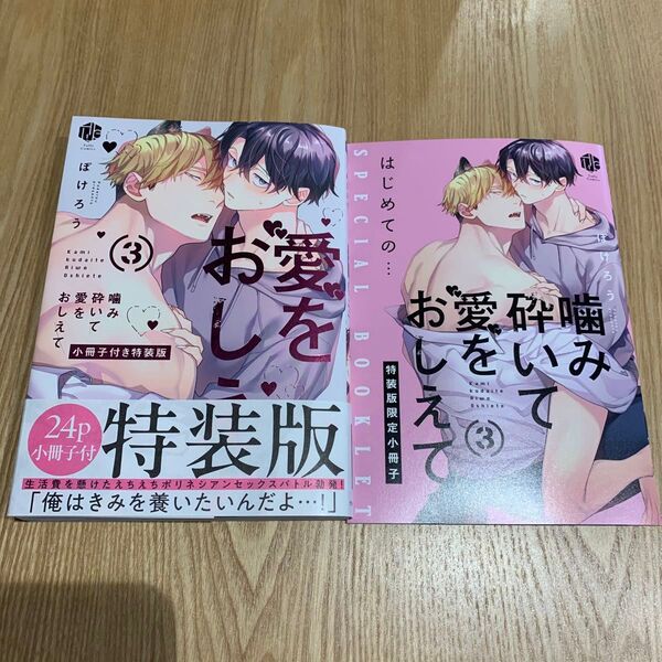 噛み砕いて愛をおしえて 3巻 ぽけろう