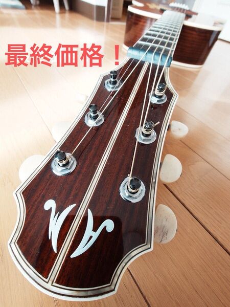超美品・激レア ARIA Meister AMS-01 N エレアコ
