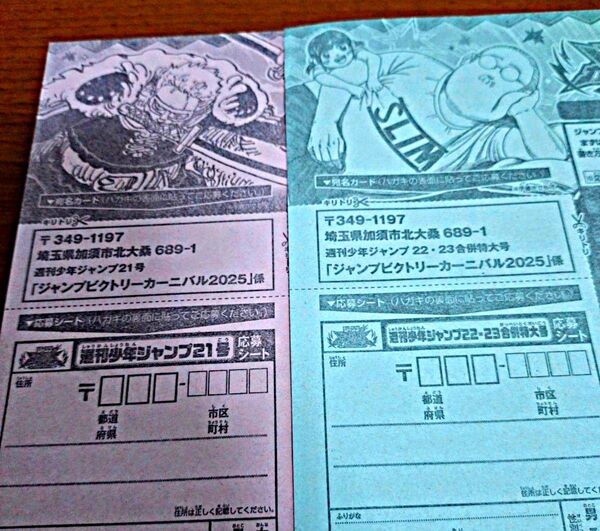 ジャンプ ビクトリーカーニバル 2025 応募シート