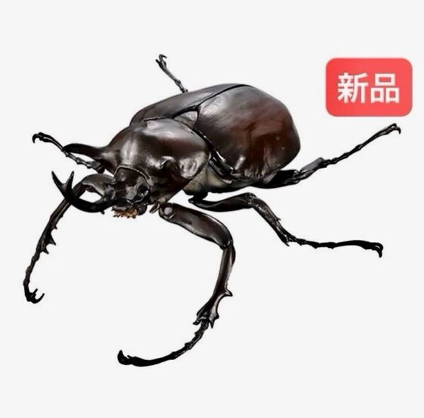 【マルスゾウカブト】いきもの大図鑑アドバンス ゾウカブトとヘラクレスオオカブト