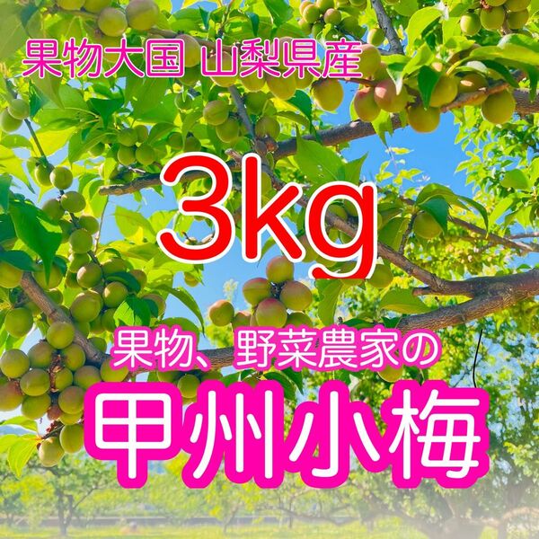 【予約販売】甲州小梅 3kg 山梨県産 小梅 青梅 手もぎ