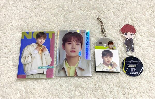 NCT ジョンウ トレカ ミニアクスタ CDキーホルダー NCT127 イリチル