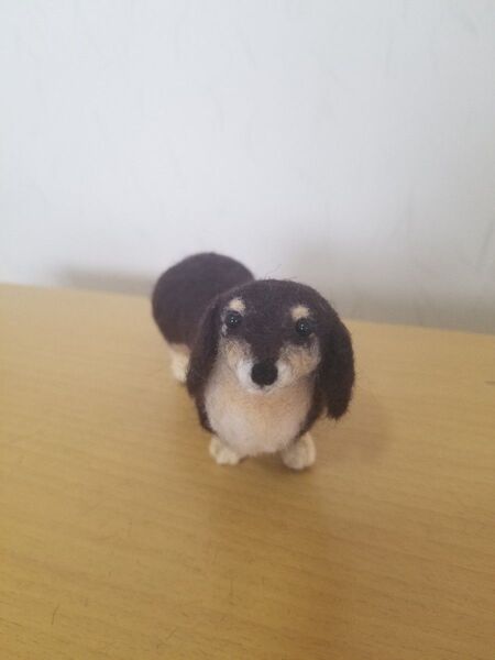 ◇ハンドメイド 羊毛フェルト◇ ぬいぐるみ【ダックスフンド】手のひらサイズ
