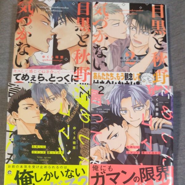 BL ゆくえ萌葱 目黒と秋野は気づかない ためしにコマンド言ってみた