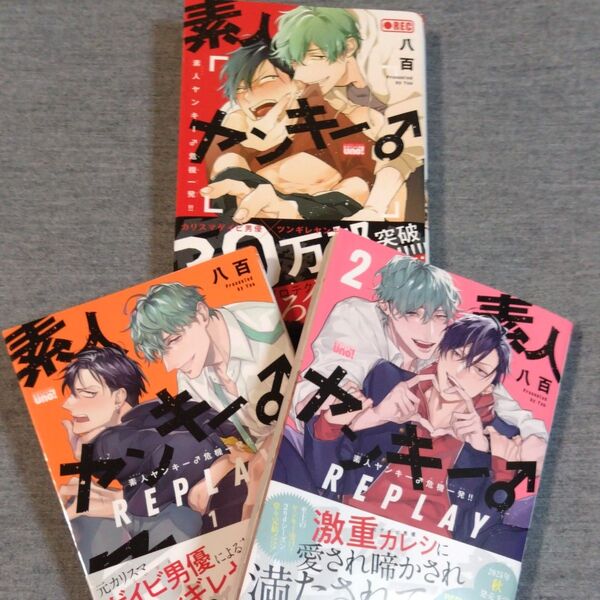 BL 八百 素人ヤンキー♂危機一髪 3冊