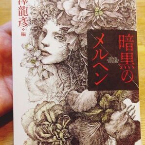 暗黒のメルヘン 澁澤龍彦編 河出文庫