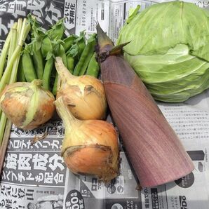 野菜詰め合わせ60サイズ おまかせセット 愛媛県内子町産