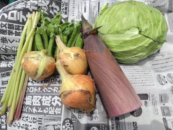 野菜詰め合わせ60サイズ おまかせセット 愛媛県内子町産