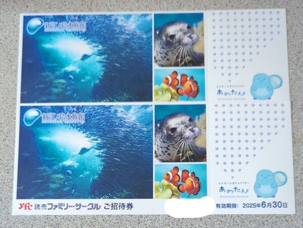 江の島水族館 ペアチケット