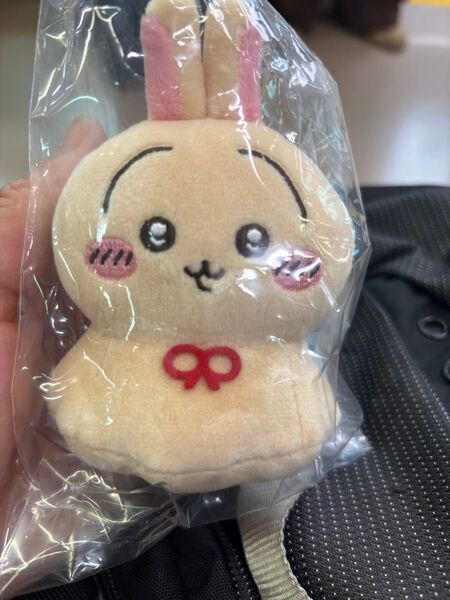 ちいかわ ウラヤハボウズ うさぎ マスコット ぬいぐるみ2点