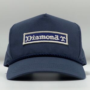 【ビンテージ】fartco loveearart同ボディ70s diamondT