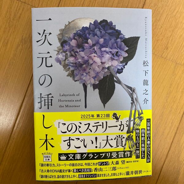 一次元の挿し木 (宝島社文庫 Cま-5-1 このミス大賞) 松下龍之介/著