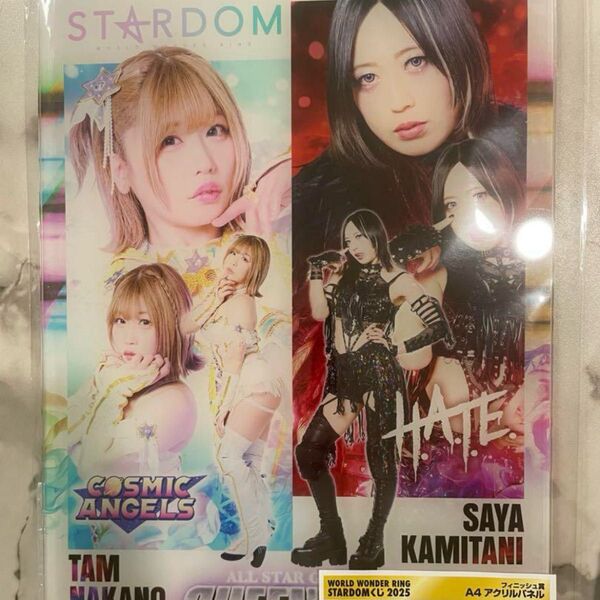 女子プロレス スターダム スターダムくじ ラスト賞
