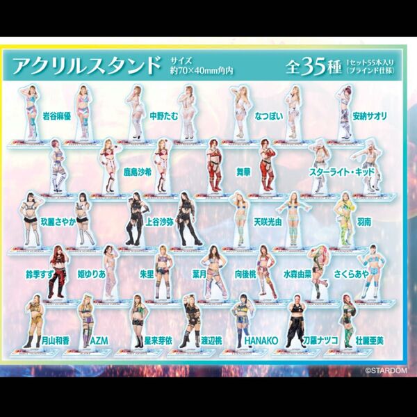 女子プロ アクリルスタンド 35種 コンプリート くじ スターダムくじ