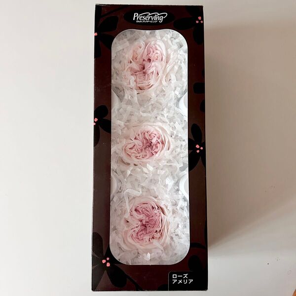 ブリザードフラワー ローズ アメリア 薔薇 シャンパンピンク 三輪 大地農園 大