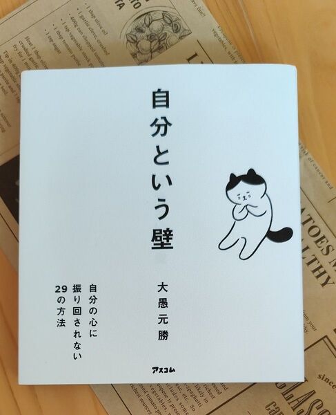 自分という壁自分の心に振り回されない29の方法 自分という壁 大愚元勝