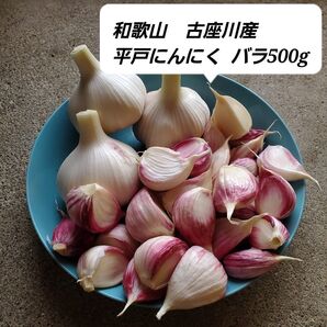 和歌山古座川産 平戸にんにく 生 バラ500g 農薬化学肥料不使用 新にんにく ニンニク 大蒜