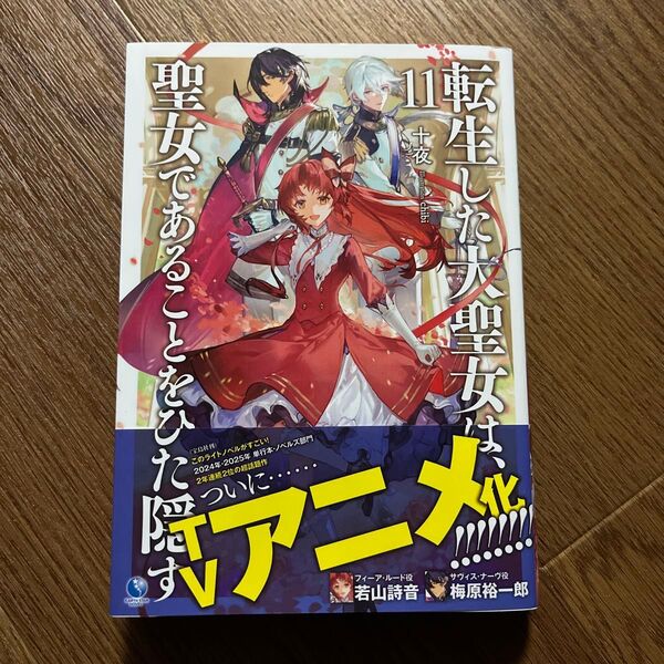 転生した大聖女は、聖女であることをひた隠す 11 (EARTH STAR NOVEL) 十夜/著
