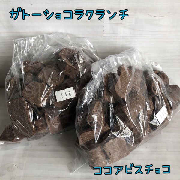 ココアビスチョコ ガトーショコラクランチ アウトレット チョコレート お菓子