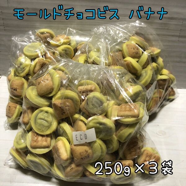 モールドチョコビス バナナ 750g アウトレット チョコレート お菓子 大容量 工場直売