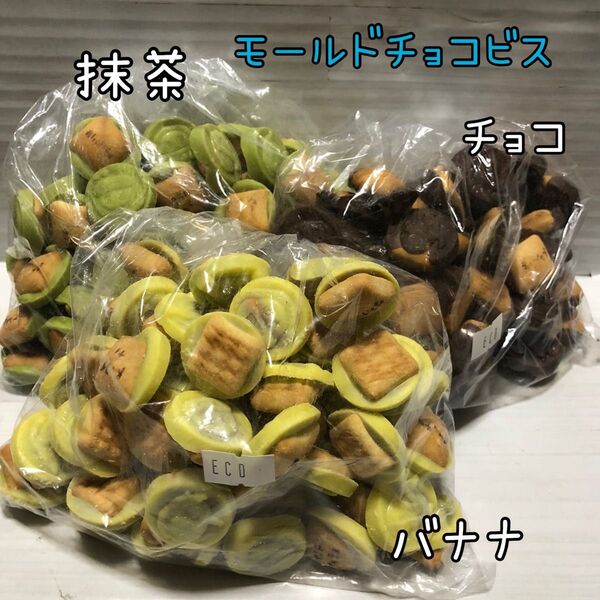 モールドチョコビス 750g バナナ 抹茶 アウトレット チョコレート お菓子 大容量 工場直売
