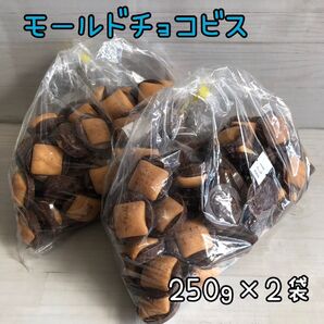 モールドチョコビス 500g アウトレット チョコレート お菓子 工場直売